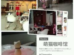 android_upload_pic-萌喵宠狗爱心宠咖