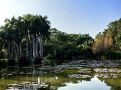 -中国科学院西双版纳热带植物园
