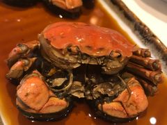 熟醉毛蟹-老正兴菜馆(福州路店)