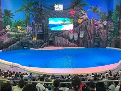 -珠海长隆海洋王国