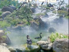 -罗红摄影艺术馆