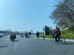 -老字号张道鸡火烧