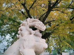 -北京石刻艺术博物馆(五塔寺)