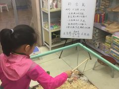 -钓仓鼠(洋桥北里小区店)