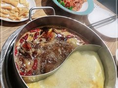 -青瓷火锅料理(西单大悦城店)
