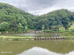 -桃花岭景区