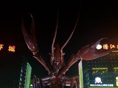 -虾味传奇(生态龙虾城店)
