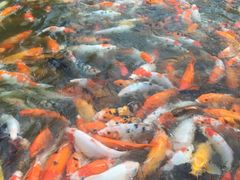 -厦门日月谷温泉渡假村