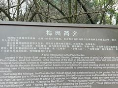 -南山植物园