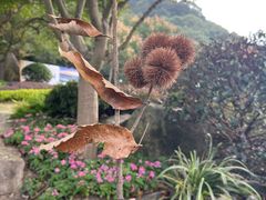 -黄公望隐居地