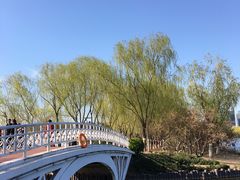 -大兴滨河森林公园