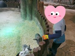 点击看大图 -宝燕乐园(闵行旗舰店)