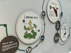 -下渚湖国家湿地公园科普馆