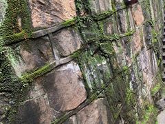 -兴福老面馆(寺路街店)