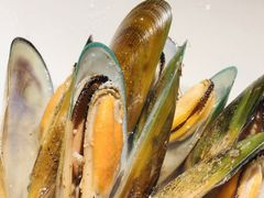 -Oyster Talks 四度蚝法餐厅