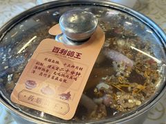 药膳乳鸽汤-百利鸽王(紫薇路店)