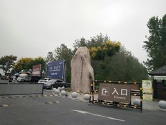 -合肥滨湖国家森林公园