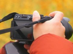 -白鹭湾湿地公园