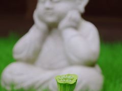 -上海万佛讲寺-停车场