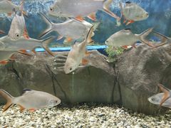 -石林冰雪海洋世界