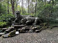 -虎跑公园