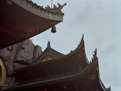 -上海东林寺(金山区)