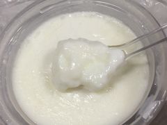 -老周记顺德双皮奶