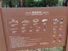 -东湖落雁景区