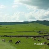 一路开车，大草原辽阔无边。[加油]