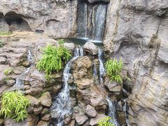 -新加坡飞禽公园