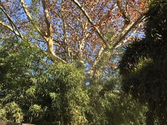 -春晖园度假酒店温泉