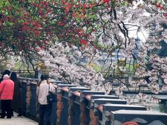 -红星桥(地铁站)