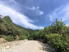 -北京西山国家森林公园