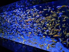 -成都浩海立方海洋公园