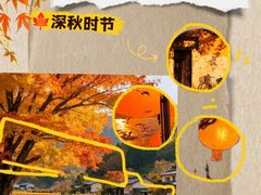 -厦门明发国际大酒店(会展中心环岛路店)