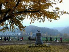 -千年银杏谷文化旅游区