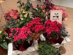 -潮一不贰·法式甜品·生日蛋糕·西式简餐(外滩店)