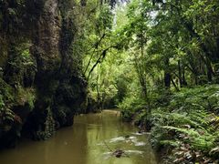 -怀托摩萤火虫洞