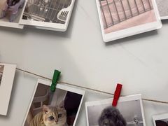-瑞派康怡24h宠物医院·犬猫医疗中心·微创绝育(瑞景分院)