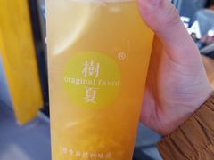 -树夏(鹭洲里店)