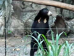 -清迈夜间动物园