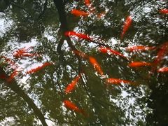 -富春桃源风景区