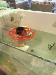 -千禧果月子会所(郑州东站店)