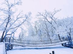 -中旅松花湖滑雪场