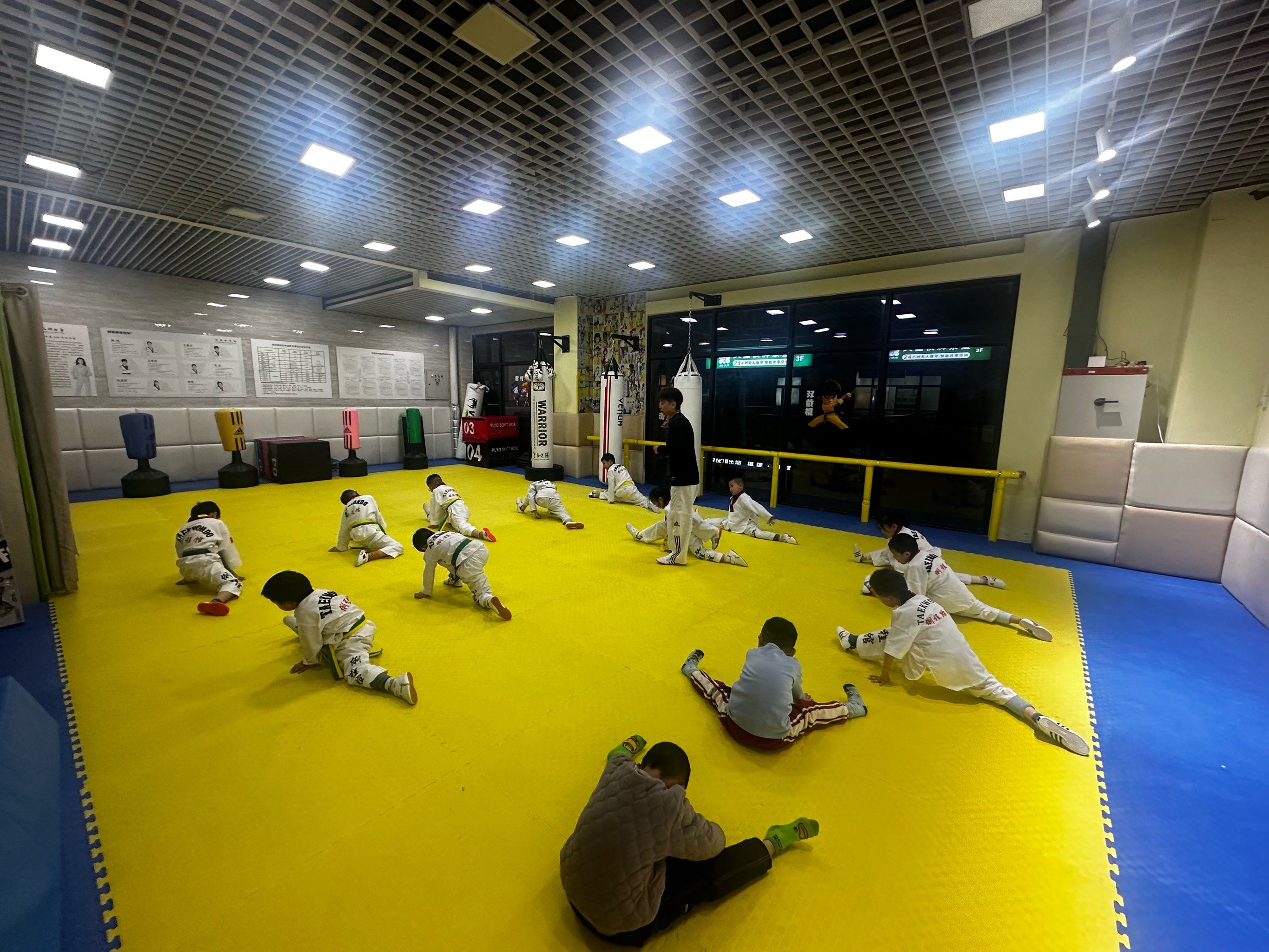 体育馆里的跆拳道课