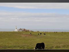 -青海湖国家重点风景名胜区
