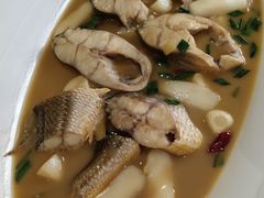 家烧大黄鱼-麟1929(外滩店)