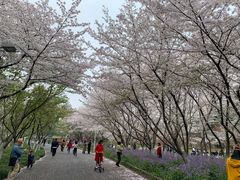 -白塘生态植物园