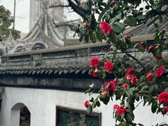 -豫园