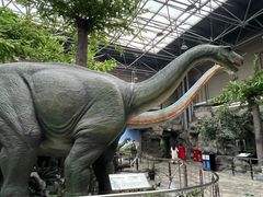 -国家自然博物馆